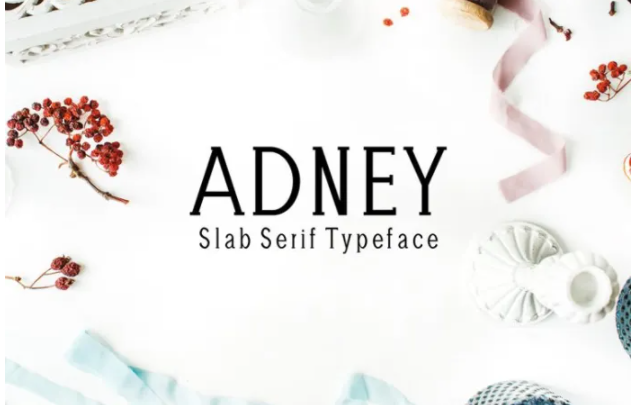 [Fontbundles] Adney Font (2021)_0.png